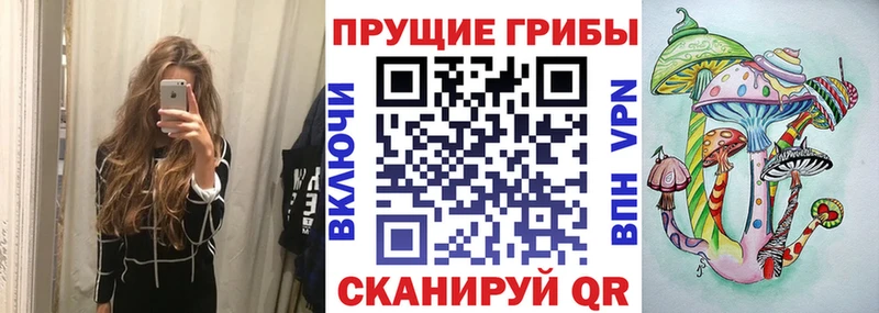 продажа наркотиков Данков Галлюциногенные грибы MAGIC MUSHROOMS